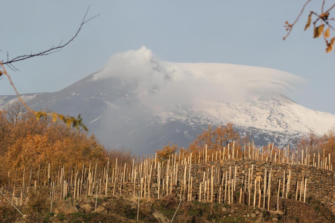 Le Case Del Merlo Turismo Rurale Milo Exterior foto