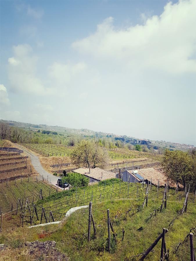 Le Case Del Merlo Turismo Rurale Milo Exterior foto